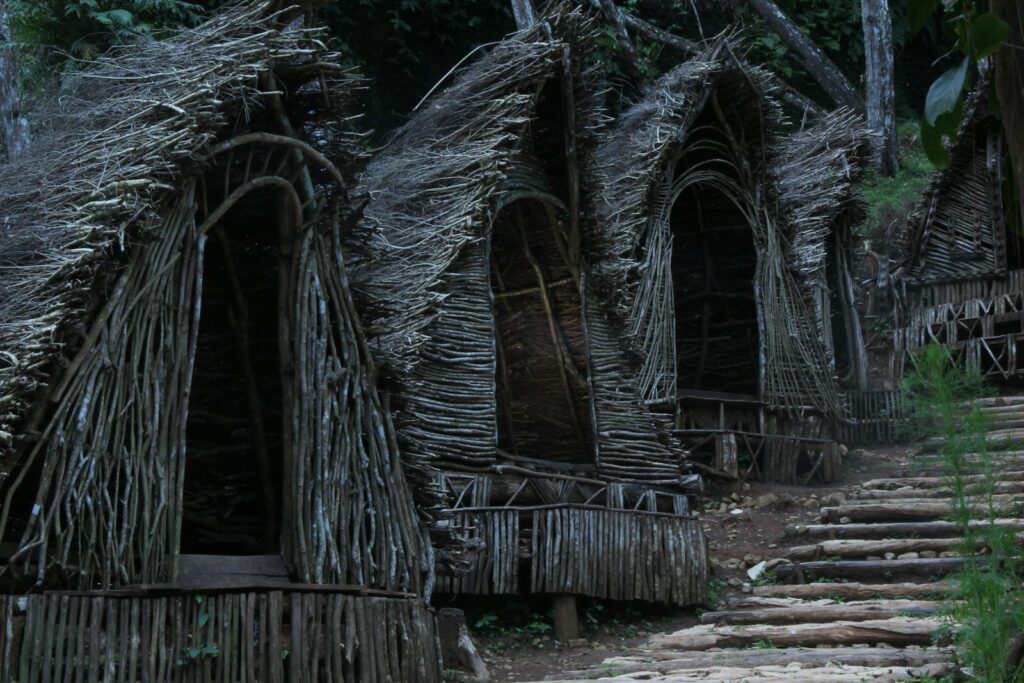 Explore rustic wooden huts nestled in a lush jungle ambiance, perfect for a peaceful retreat.