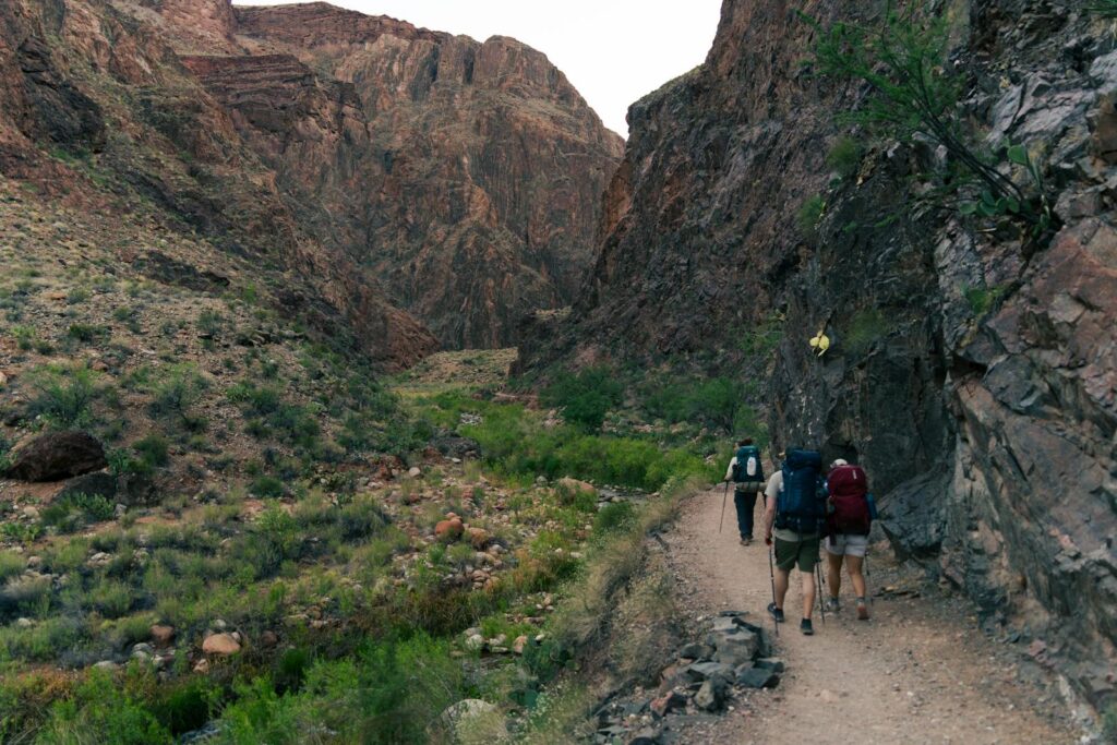 Explore the rugged beauty of the Grand Canyon with hikers on a scenic trail.