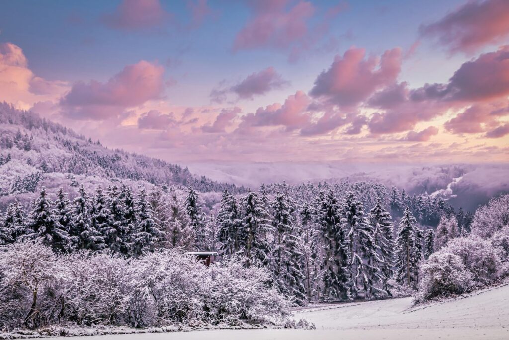 Breathtaking snow-covered forest landscape at sunset in winter.