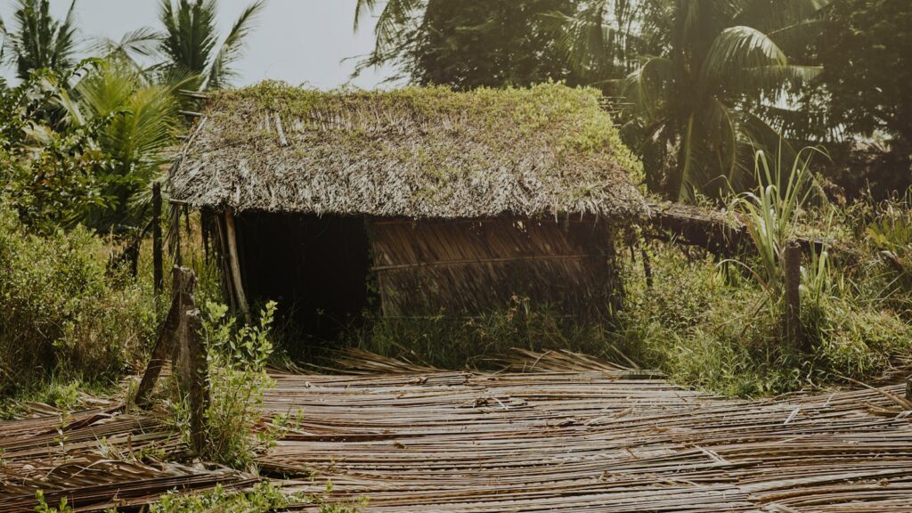 A rustic bamboo hut surrounded by lush vegetation and palm trees in a tropical jungle setting.