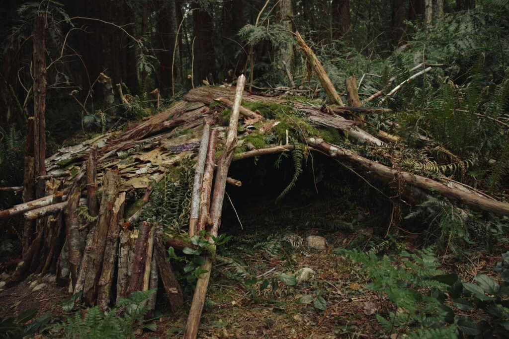 A handmade primitive shelter in the forest, showcasing survival skills and natural construction methods.