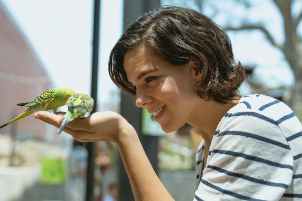 A smiling woman feeds two budgerigars from her hand at an outdoor zoo exhibit.