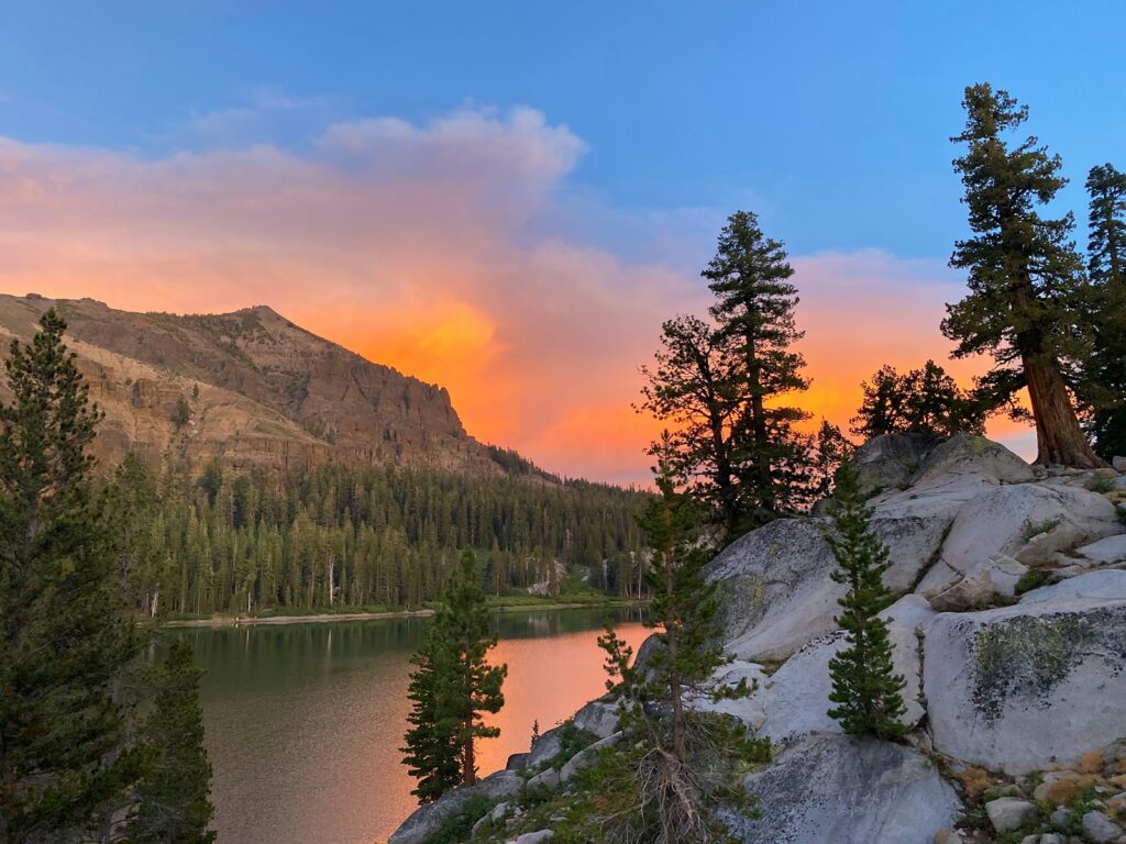 green pine trees near lake during daytime