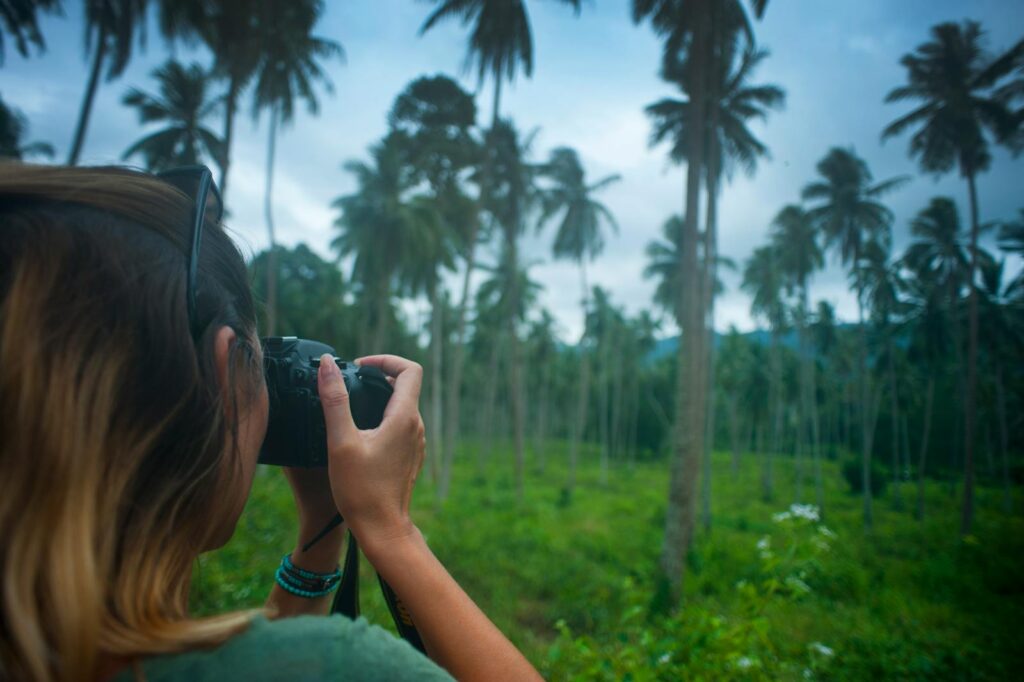 A woman using a camera to photograph a lush landscape filled with tall palm trees.