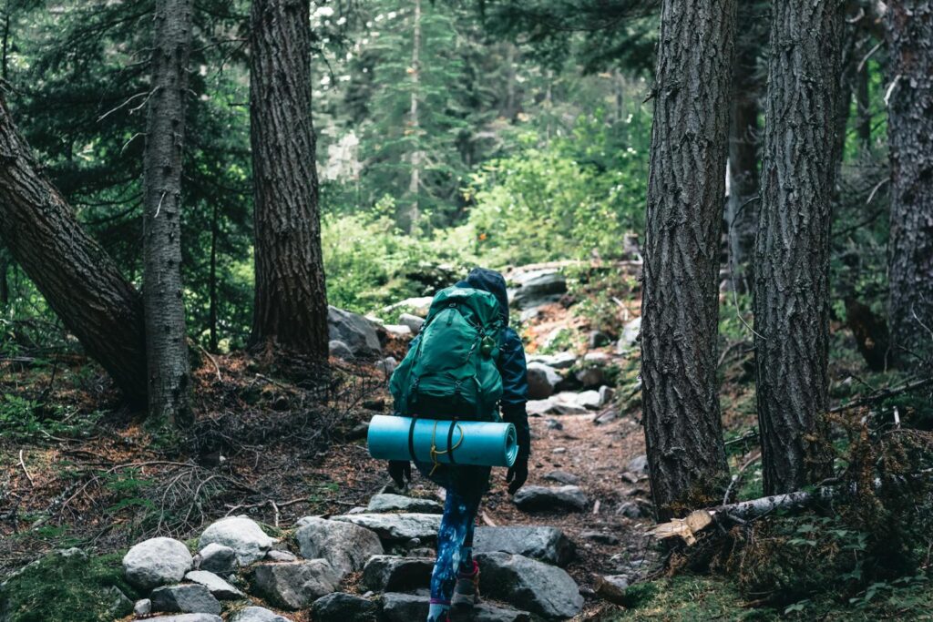 A backpacker hiking through a lush Canadian forest, showcasing outdoor adventure in nature.