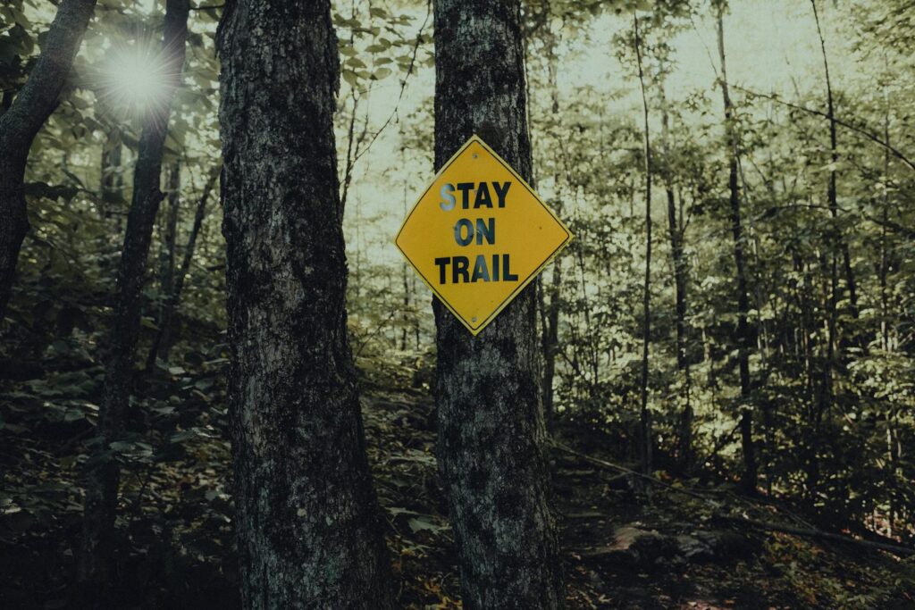 A tranquil forest trail with a yellow warning sign urging hikers to stay on the path.
