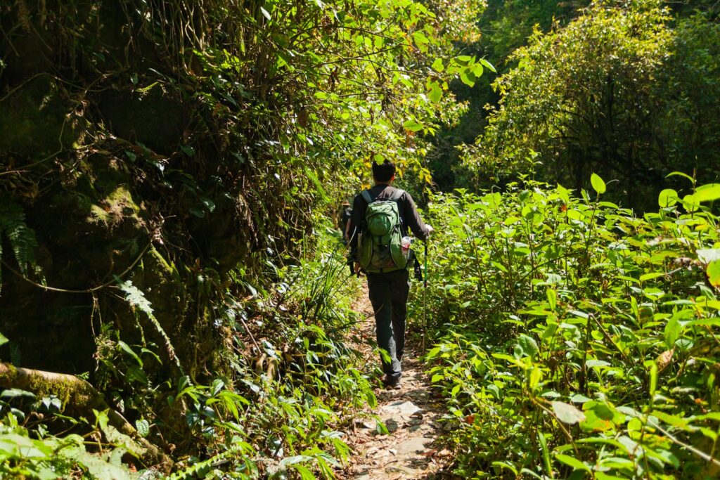 A lone hiker with a backpack walks along a vibrant green forest trail during the day.