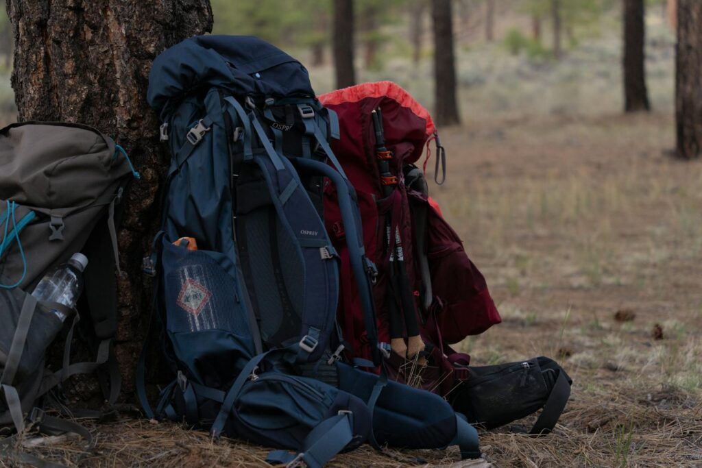 Free stock photo of adventure, arizona, backpacking
