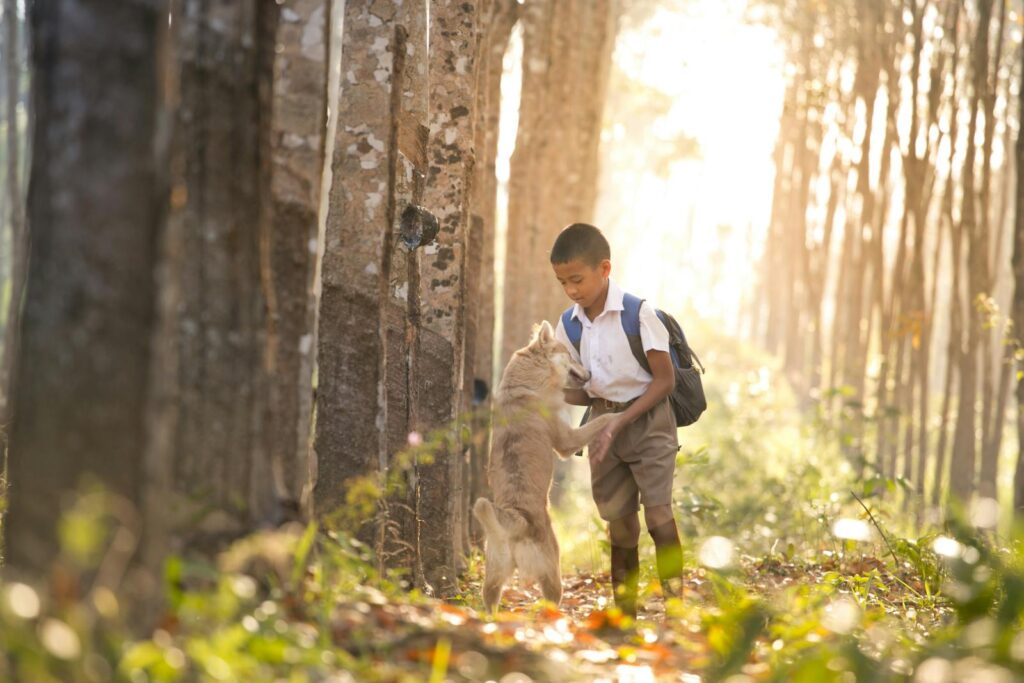 A young boy with a backpack interacts with a dog in a sunlit forest, creating a warm, serene scene.