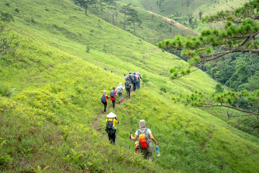 A group of hikers trek through a vibrant, green hillside path, enjoying nature's beauty.