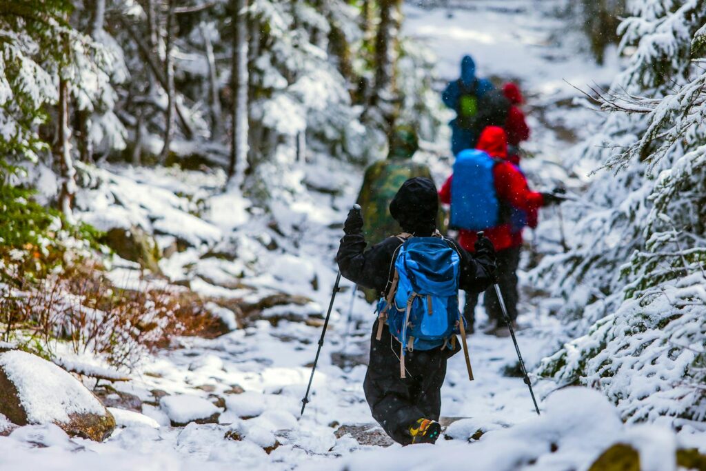 A group of hikers trekking through a snowy forest trail on a winter day, equipped with backpacks and hiking sticks.