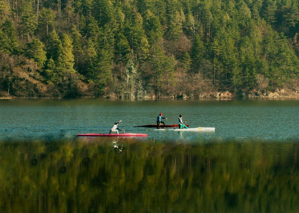Scenic kayaking on a tranquil lake surrounded by vibrant forest trees, perfect for outdoor recreation.