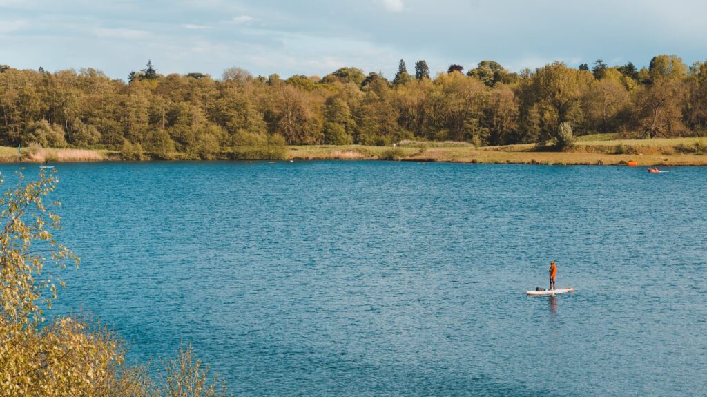 A lone paddleboarder enjoys a sunny day on a calm lake surrounded by lush green forests in Reigate, England.