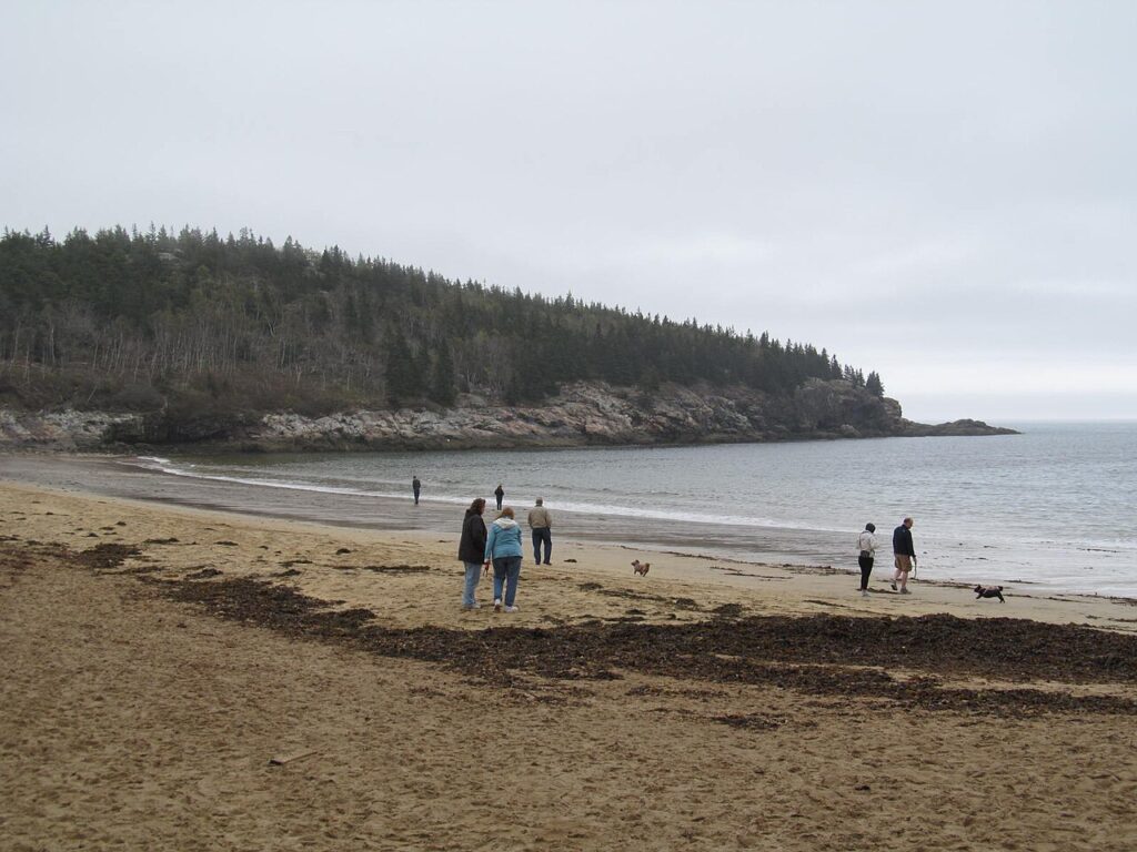 A cloudy beach scene with people walking along the shore, some with dogs, surrounded by rocky cliffs and forested hills in the background.