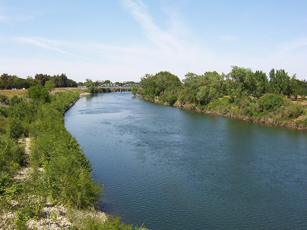 A peaceful river flows through lush greenery under a clear blue sky, with a bridge visible in the background.