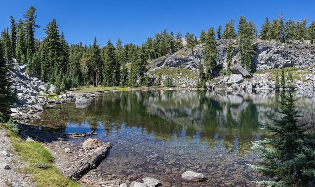 A serene lake surrounded by tall pine trees and rocky cliffs under a clear blue sky, reflecting the landscape in its still waters.