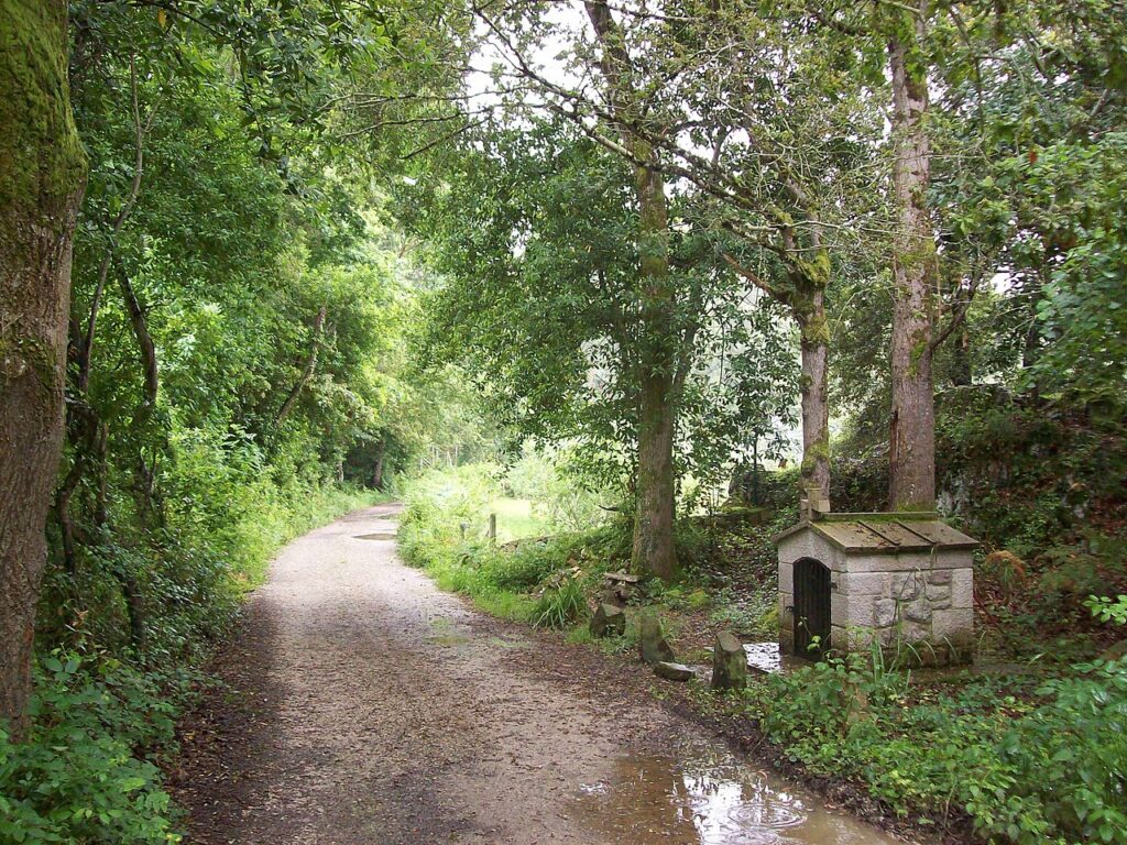 A serene, tree-lined dirt path curves through lush greenery, with a small stone structure nestled among the foliage.