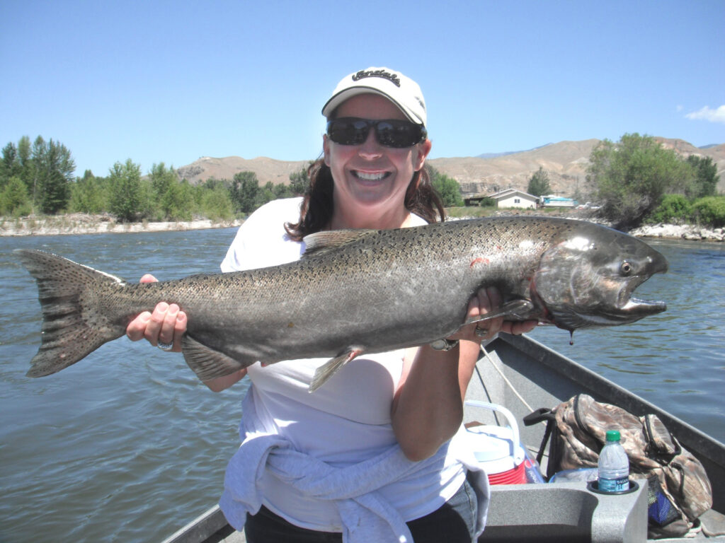 By BLMIdaho - Chinook salmon on the Upper Salmon River, Public Domain, https://commons.wikimedia.org/w/index.php?curid=159906149