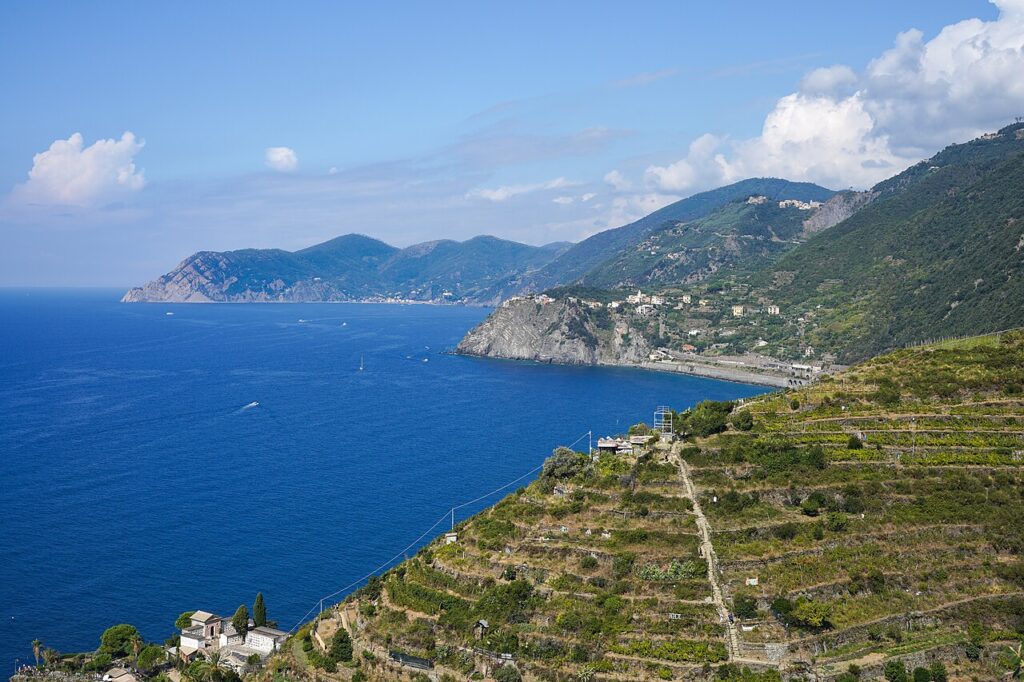 A panoramic view of rugged coastline and terraced vineyards, overlooking the vibrant blue sea under a clear sky with distant hills.