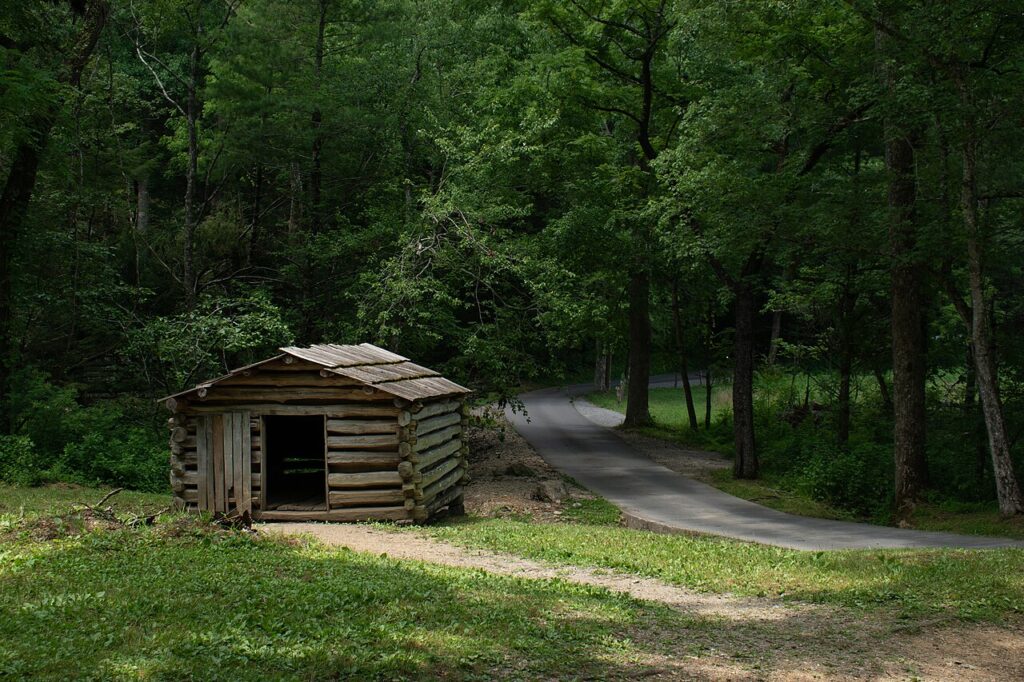 A rustic log cabin sits beside a winding paved path, surrounded by lush green trees in a peaceful forest setting.