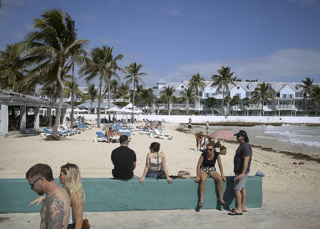 A lively beach scene features sunbathers on lounge chairs, palm trees, and colorful umbrellas near the ocean.