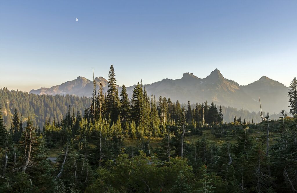 Distant mountains rise above a dense forest, under a clear sky with a crescent moon, capturing the serene beauty of nature at dawn.