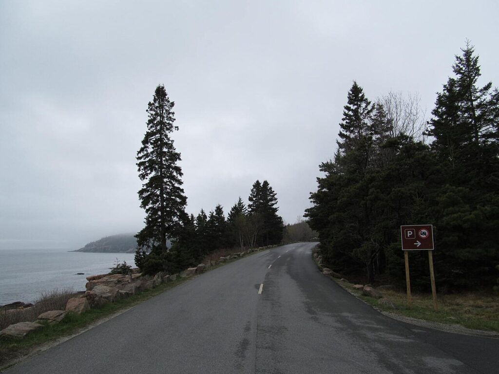 A winding road beside a misty seaside, flanked by tall evergreen trees and a parking sign pointing right.