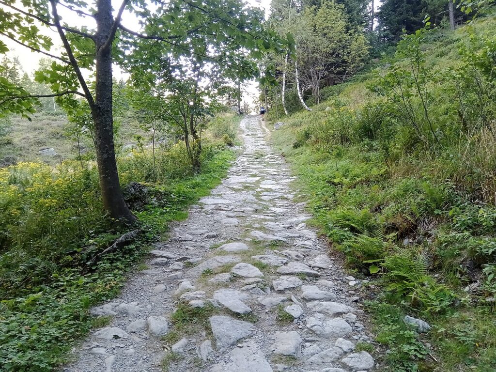 A rocky, winding path through a lush green forest, flanked by trees and ferns, with hikers visible in the distance.
