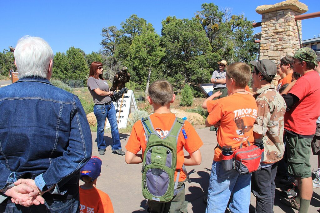 A group of children and adults watches a presentation about a hawk in a sunny outdoor setting near trees and informational signs.