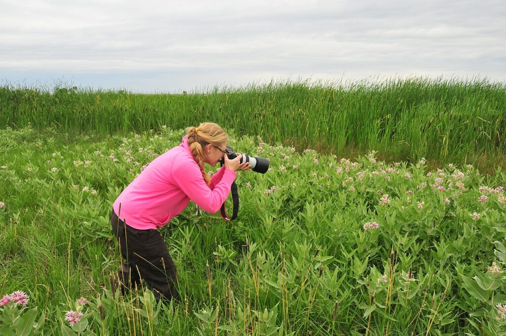 A photographer wearing a pink jacket crouches in a field of green grass and pink flowers, capturing nature on a cloudy day.