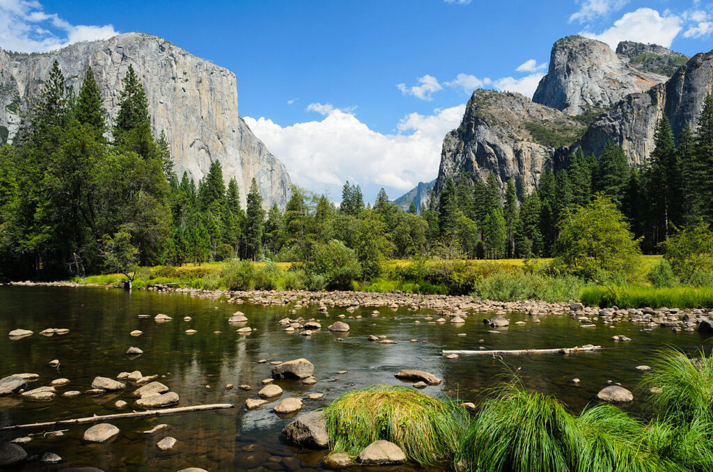 A serene river flows through Yosemite Valley, surrounded by lush trees and towering granite cliffs under a bright blue sky.