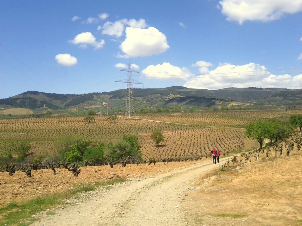 a couple of people walking down a dirt road