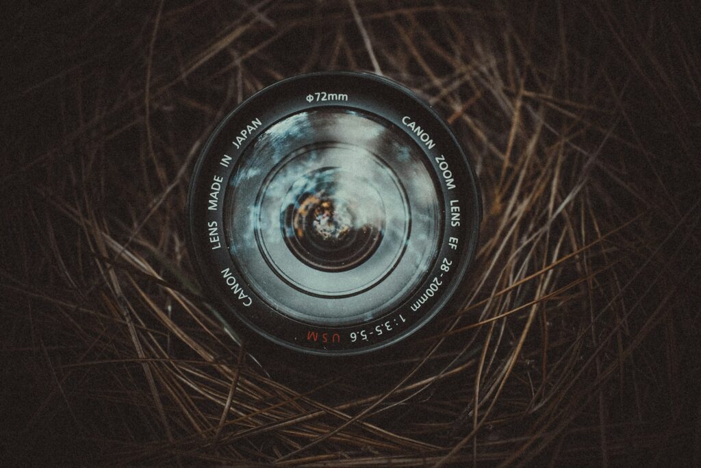 A Canon zoom lens EF 28-200mm resting on a bed of pine needles, showcasing its glass and metal body with visible reflections.