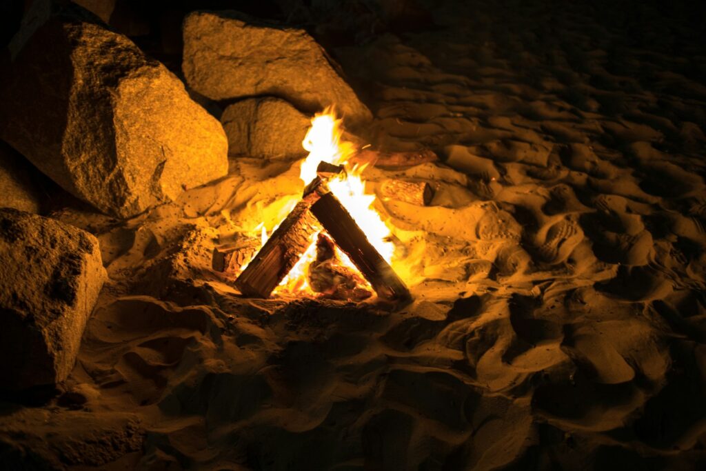 bonefire on focus photography