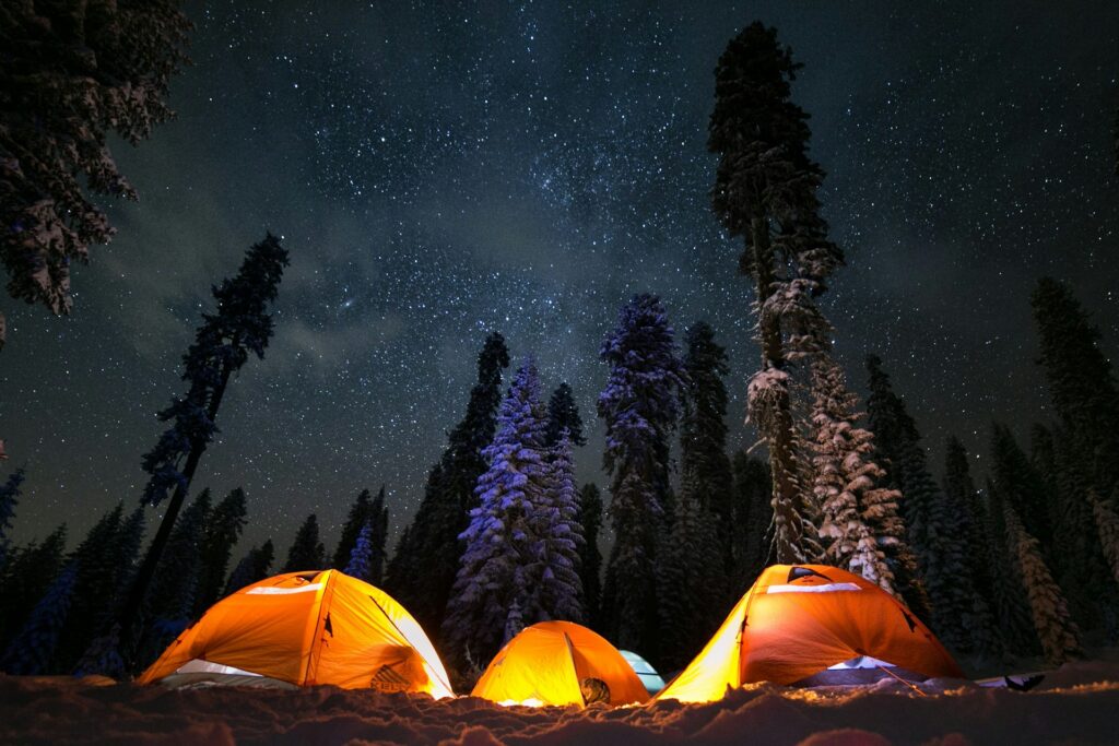 Three illuminated orange tents sit in a snowy forest under a star-filled night sky, surrounded by tall, snow-covered trees.