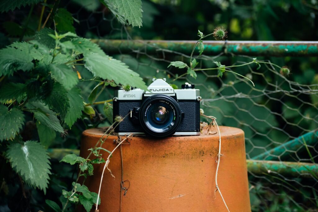 A vintage Fujica camera rests on a terracotta pot, surrounded by lush green foliage and a rustic wire fence backdrop.