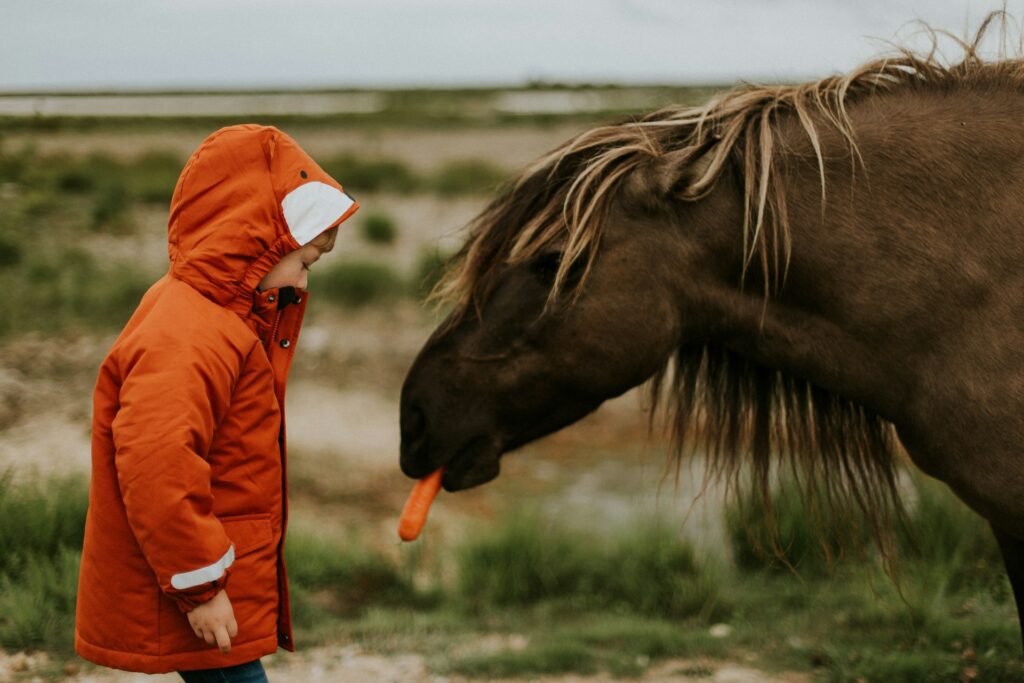 A child in an orange jacket smiles as they feed a brown horse a carrot in a grassy outdoor setting.