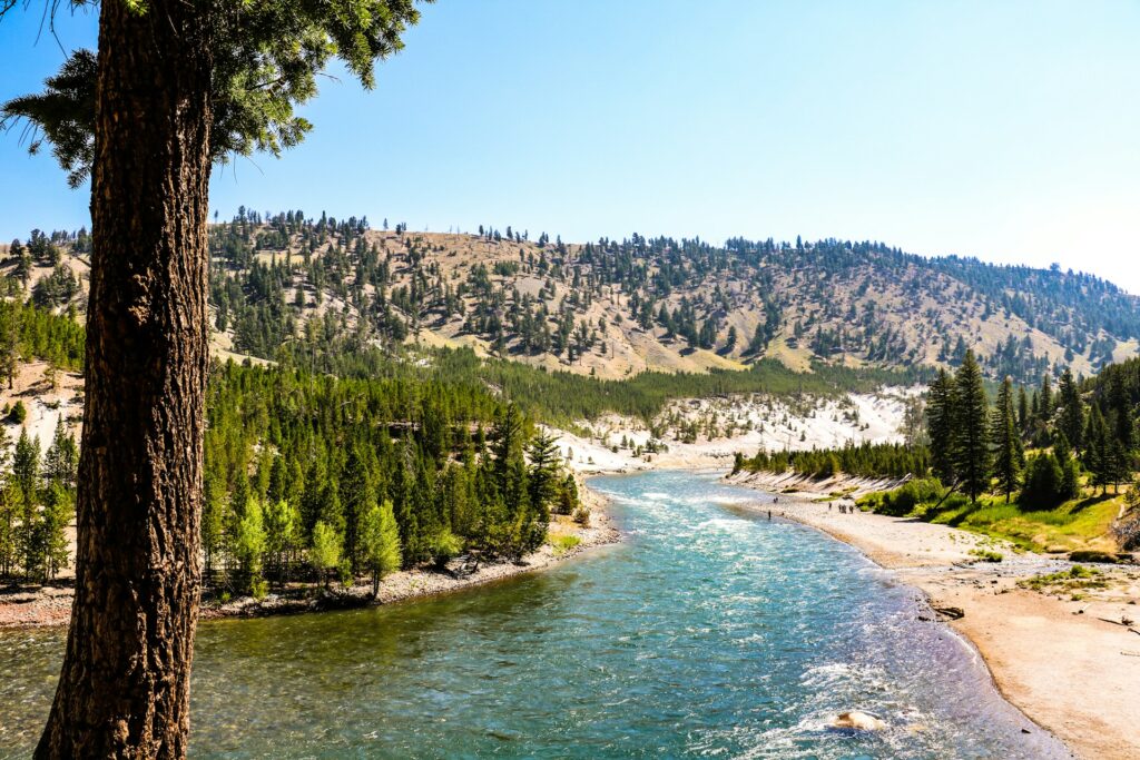 A serene river flows through a forested landscape, with hills and a clear blue sky in the background, reflecting nature's tranquility.
