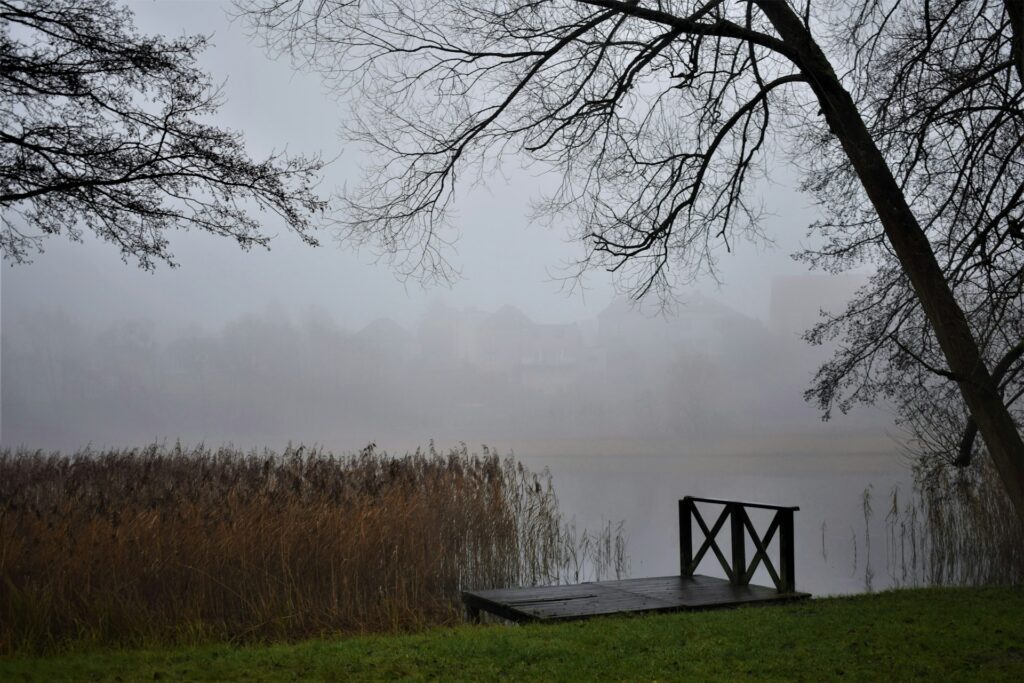 Foggy landscape with a wooden dock, tall reeds, and silhouette of trees, creating a tranquil atmosphere by the misty water.