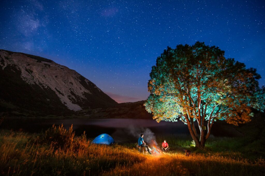 Two campers sit by a glowing campfire under a starry sky, with a blue tent and a colorful tree illuminated nearby.