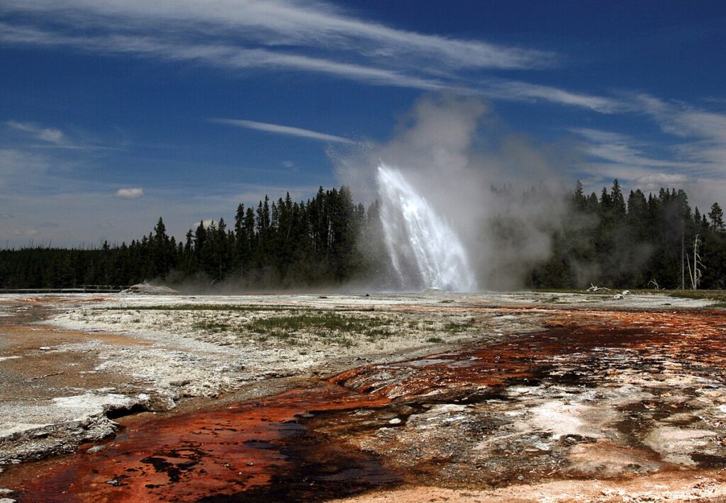 Old Faithful geyser erupts in Yellowstone National Park, surrounded by vibrant geothermal features and lush evergreen trees under a blue sky.