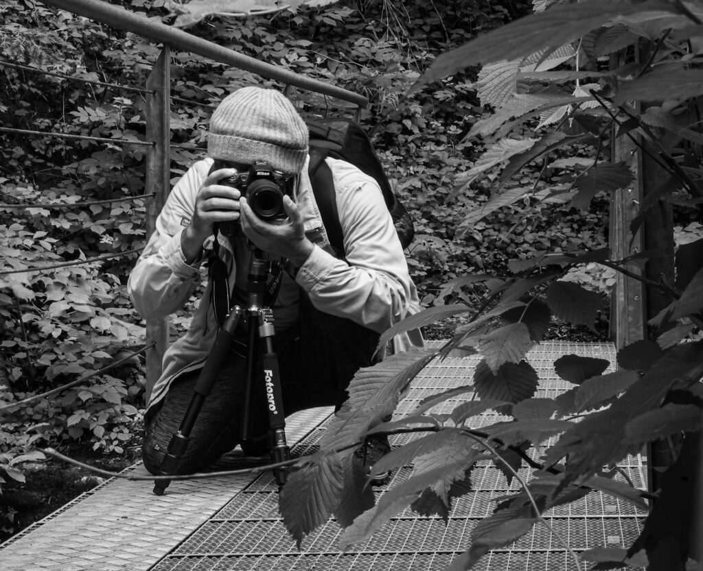 A photographer in a beanie crouches on a metal walkway, focusing on their camera amidst lush green leaves in a black and white scene.