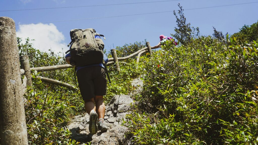 Two hikers ascend a rocky trail surrounded by lush greenery, with one holding onto a wooden fence for support.