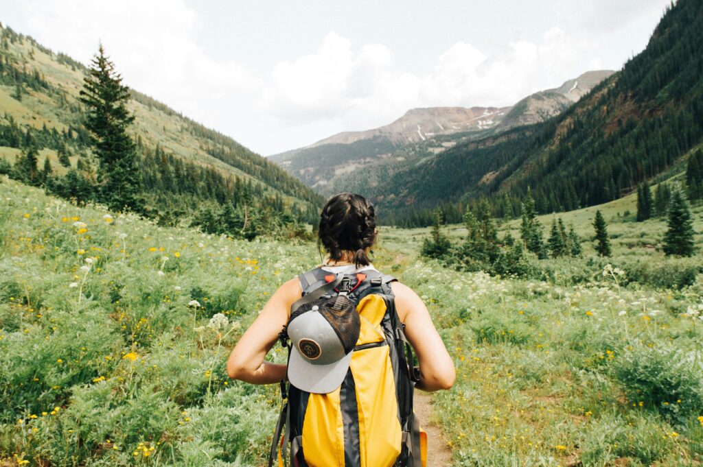 Person carrying yellow and black backpack walking between green plants photo.