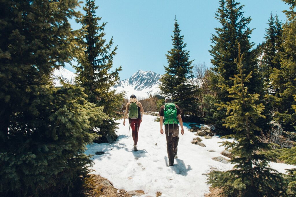 Two hikers walk on a snowy path through a forest, surrounded by tall evergreens, with mountains in the background under a clear blue sky.