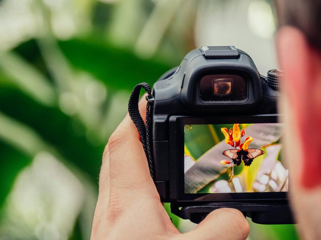 A man photographing a colorful flower with his camera in a natural setting.