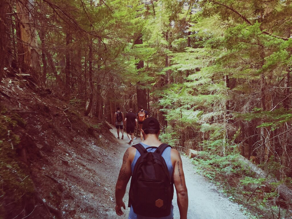 A group of hikers walking along a forest trail, surrounded by lush greenery and tall trees under soft natural lighting.