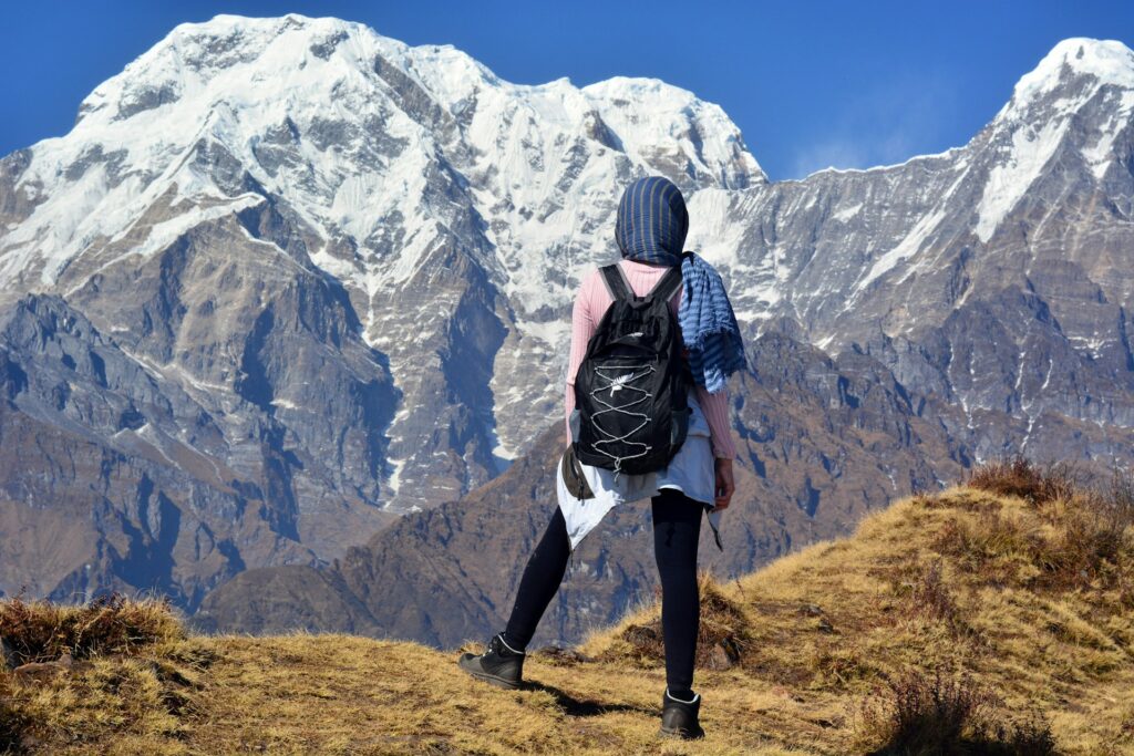 A person in a backpack gazes at snow-capped mountains under a clear blue sky, surrounded by grassy terrain.