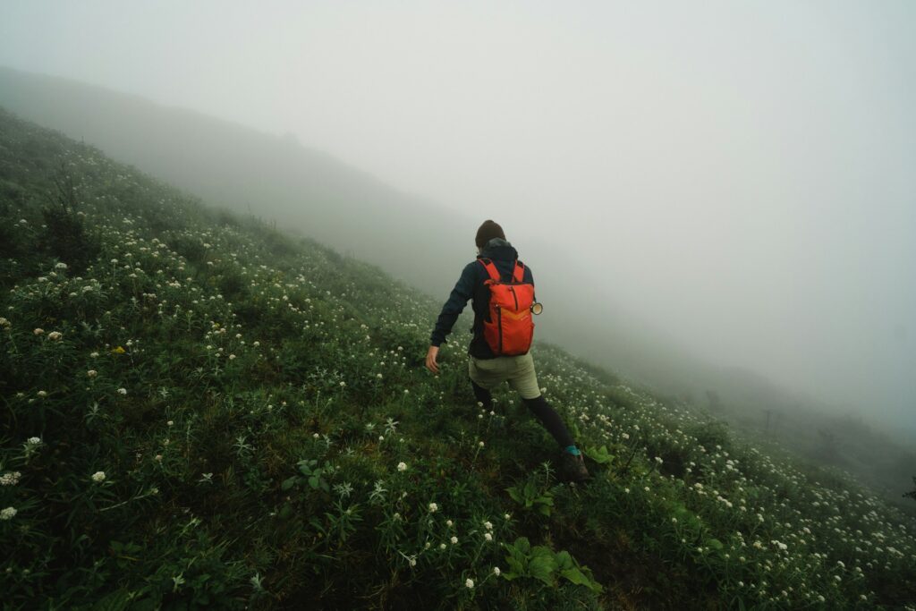 A hiker in a foggy landscape, wearing a black jacket and orange backpack, walks through a meadow filled with white flowers.