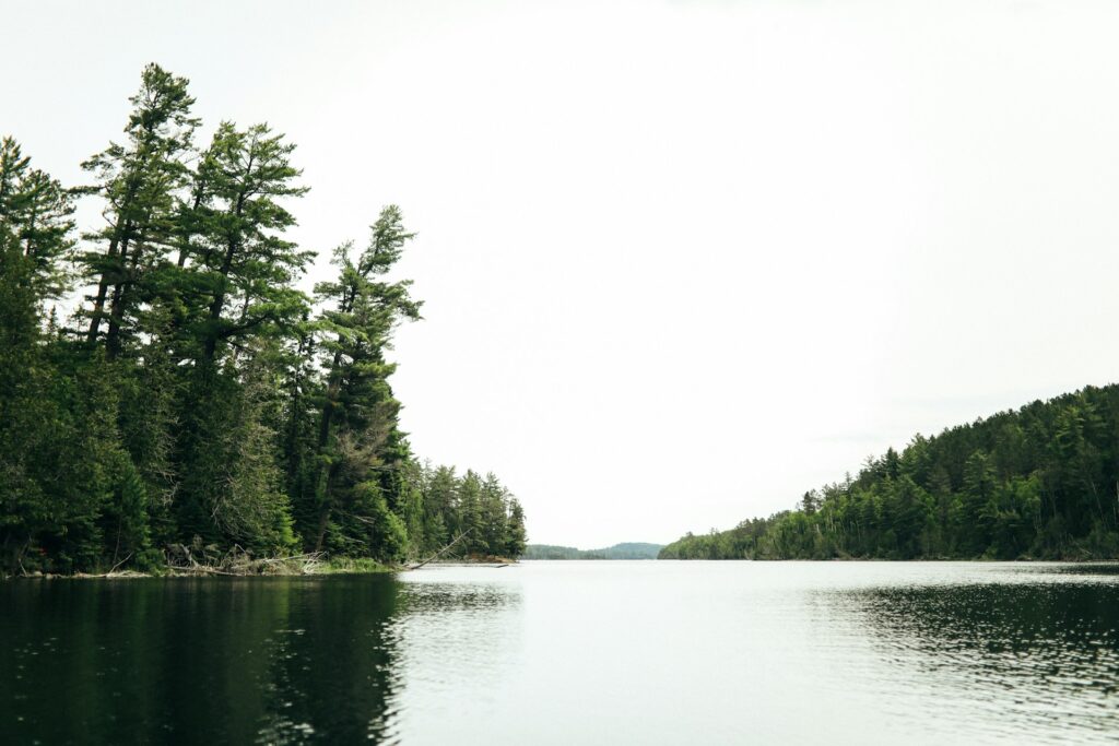 Serene lake surrounded by lush pine trees under a cloudy sky, reflecting calm waters and distant hills in the background.